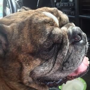 Meet your Posher, Dana