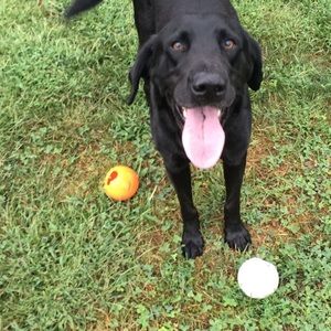 Meet your Posher, Ashleigh