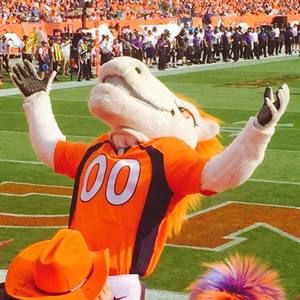 Meet your Posher, Vikki