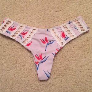 Acacia Bird of Paradise Chuns