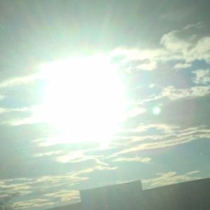 Meet your Posher, Skye