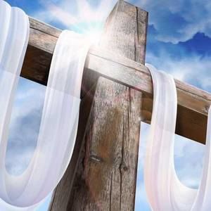 Meet your Posher, Onelio