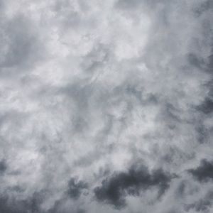 Meet your Posher, Sidney