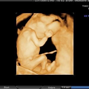 Meet your Posher, Marissa