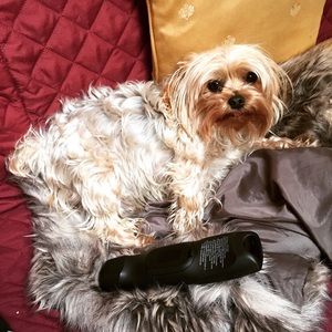 Meet your Posher, Krist