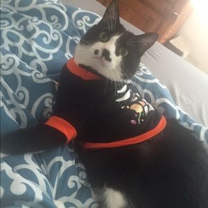 Meet your Posher, Marissa