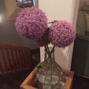 Meet your Posher, Elisabeth