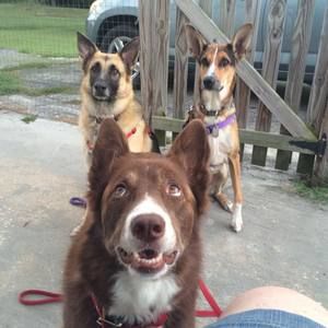 Meet your Posher, Maria