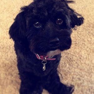 Meet your Posher, Tiffany