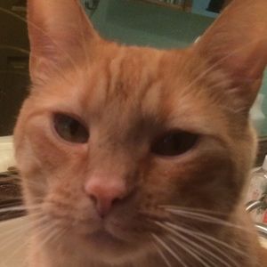 Meet your Posher, Staci