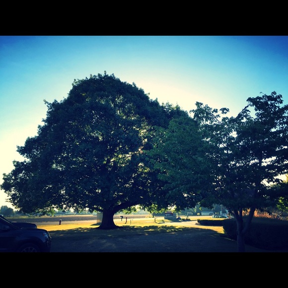 Hello from Seattle!!! - Picture 4 of 4