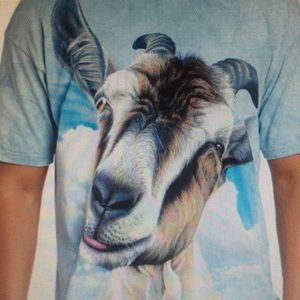 Meet your Posher, Kenneth