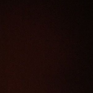 Meet your Posher, Peyton