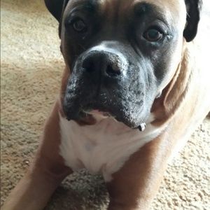 Meet your Posher, Darlene