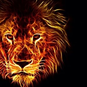 Meet your Posher, Cameron