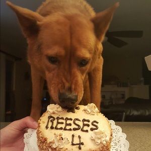 Meet your Posher, Steph