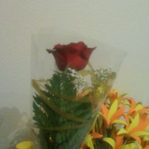 Meet your Posher, Ursula