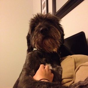 Meet your Posher, Elaine