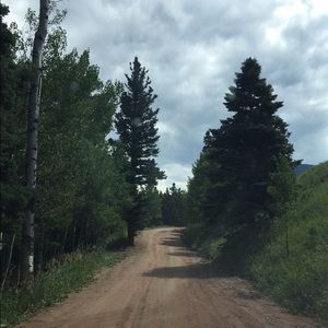 Meet your Posher, Tory