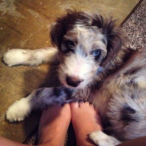 Meet your Posher, Angela