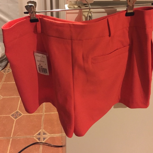 Shorts - Picture 2 of 2