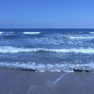 Meet your Posher, Oleta