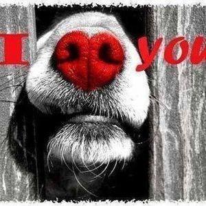 Meet your Posher, Shawna