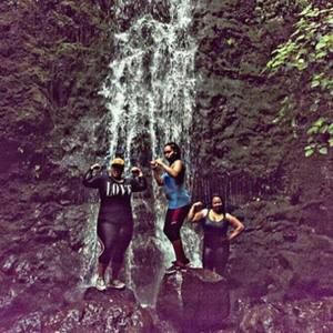 Meet your Posher, Bee