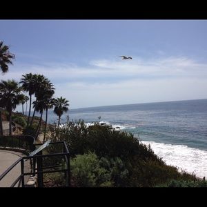 Meet your Posher, Terry