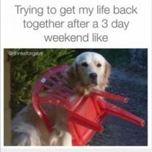 Meet your Posher, Hillary