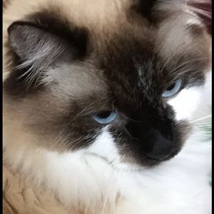 Meet your Posher, Brooke