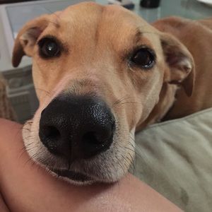 Meet your Posher, Katherine