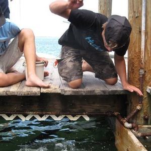 Meet your Posher, Eddie