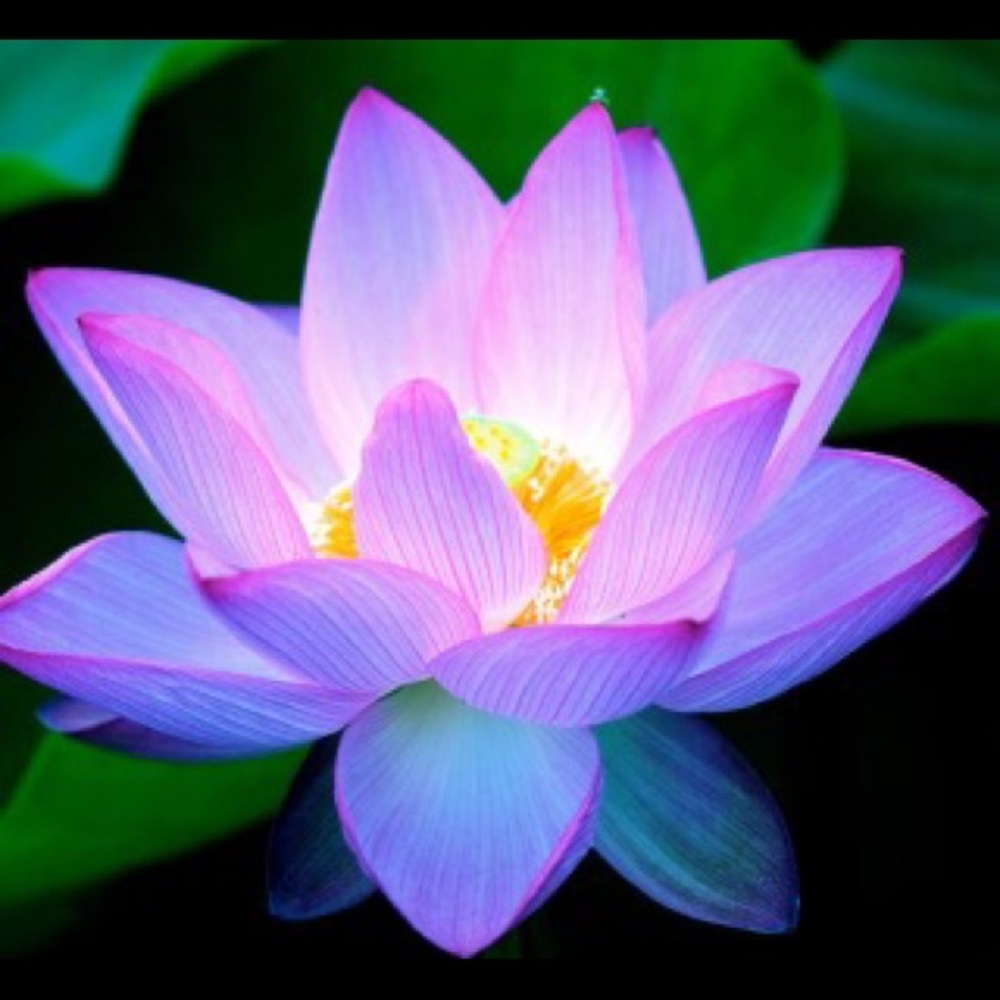 Meet your Posher, Summer