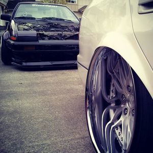 Meet your Posher, Tommy