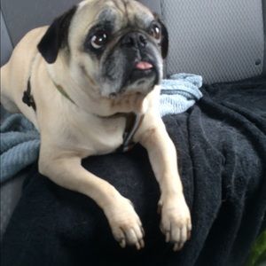 Meet your Posher, Lindsey