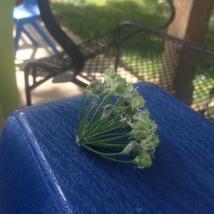 Meet your Posher, Jenny