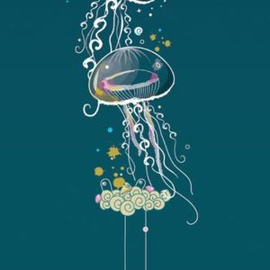 Meet your Posher, Xiang