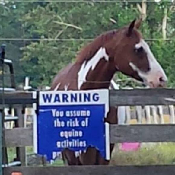 Meet your Posher, Lori