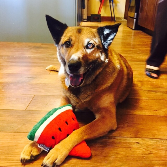 New Listings! - Picture 3 of 4