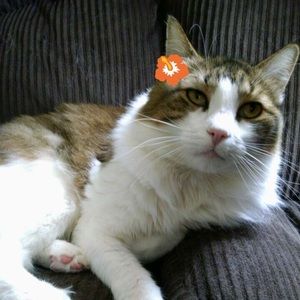 Meet your Posher, Stacie