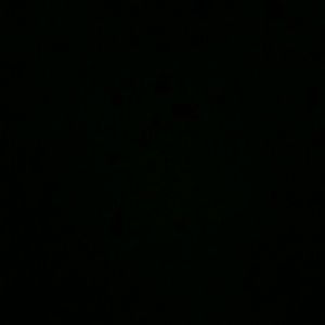 Meet your Posher, Sherry