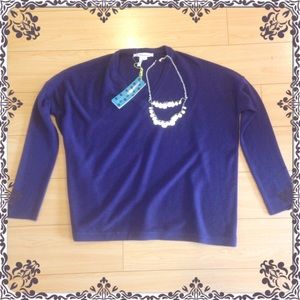 BCBG Plum v neck sweater with 3/4 sleeves