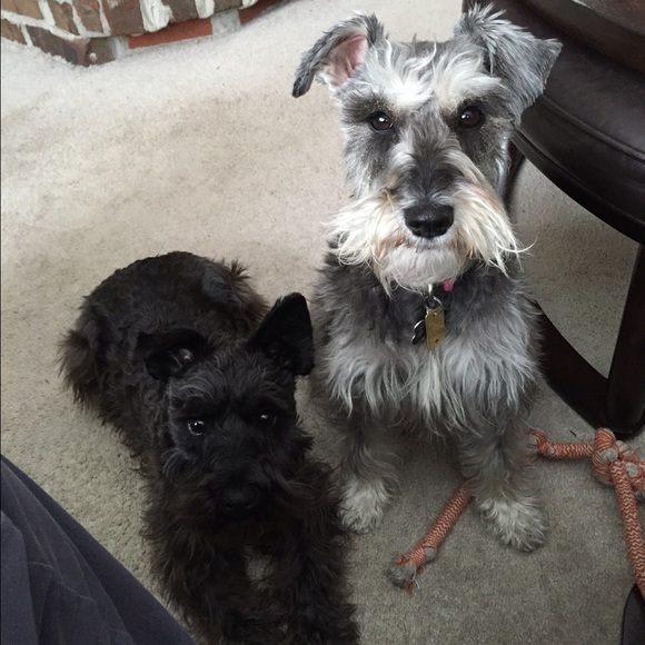 Hi! - Picture 2 of 2