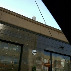 Meet your Posher, Erwin