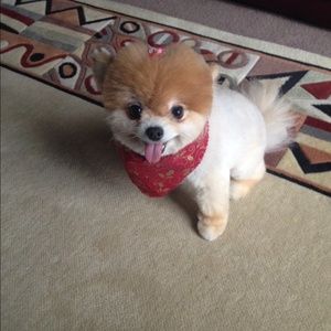 Meet your Posher, Katie