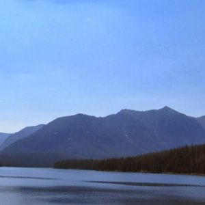 Meet your Posher, Holly