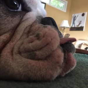 Meet your Posher, Sonya