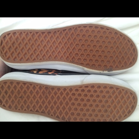 Leopard Vans - Picture 3 of 4