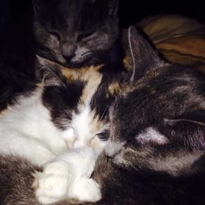 Meet your Posher, Cathy